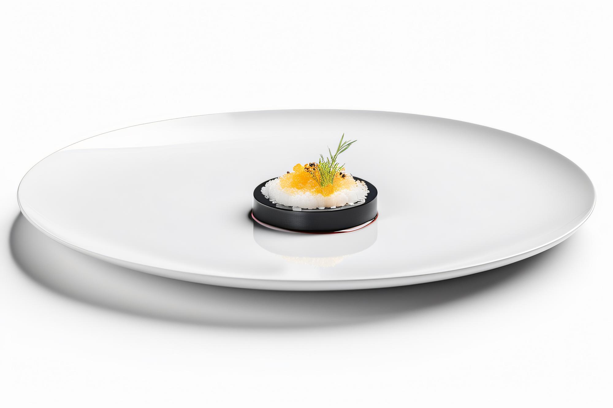Finished plated dish in studio light